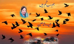 ہم سب گم ہیں : حمیدہ شاھین