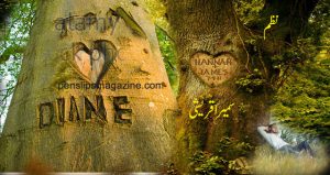 sumera-qureshi-poetry-agar-tum-jangalon