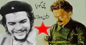 che-guevara-alan-woods