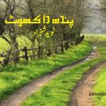 pendh-da-khot-navid-shahzad