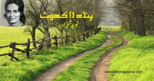 pendh-da-khot-navid-shahzad