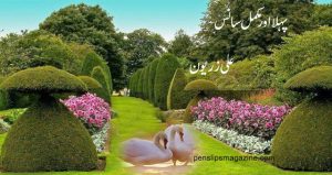 ali-zeryun-poetry-pehla-mukamal-saans