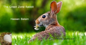 the-green-zone-rabbit-hassan-blasim