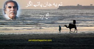 shaikh-ayaz-poetry-tum-jaan-yeh-patay