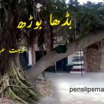 nuzhatabbass-budha-bohr