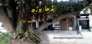 nuzhatabbass-budha-bohr