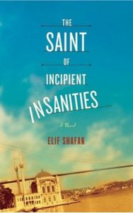 The Saint of Incipient Insanities book cover - best Elif Shafak Book
